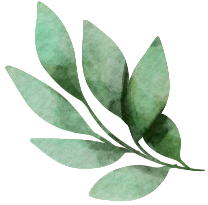 ein gr&uuml;nes Blatt - Selbstheilungskr&auml;fte